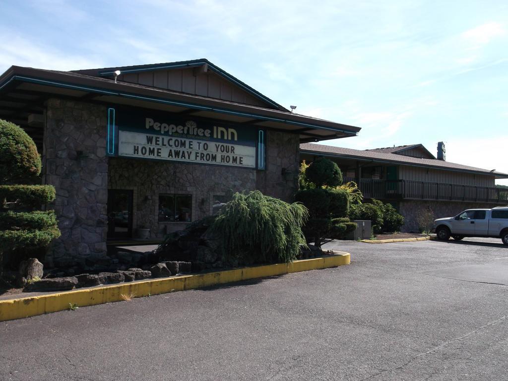 Pepper Tree Inn Beaverton Esterno foto